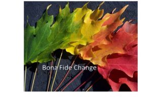 Bona-Fide- Change-Trid