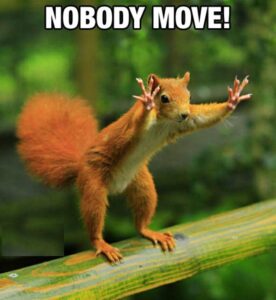 nobody-move-housing-market-stalled-refis-ending
