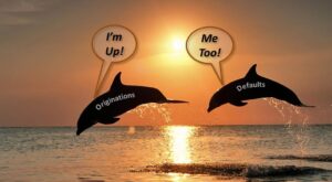 dophins-up-mortgage-originations-defaults